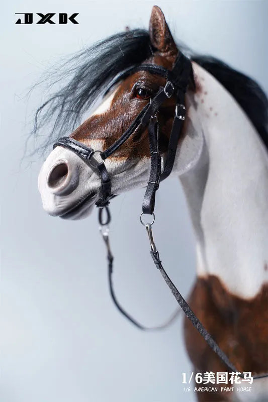 1/6 American Paint Horse Dㅤ – JXK Studio – ActionFigureBrasil