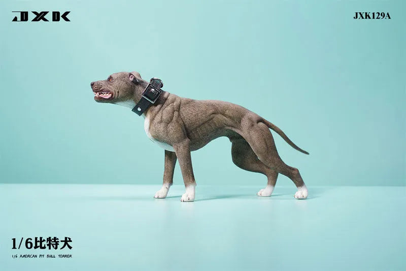 1/6 American Pit Bull Terrier Aㅤ – JXK Studio – ActionFigureBrasil