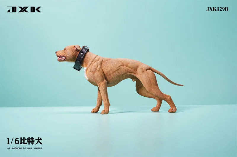 1/6 American Pit Bull Terrier Bㅤ – JXK Studio – ActionFigureBrasil