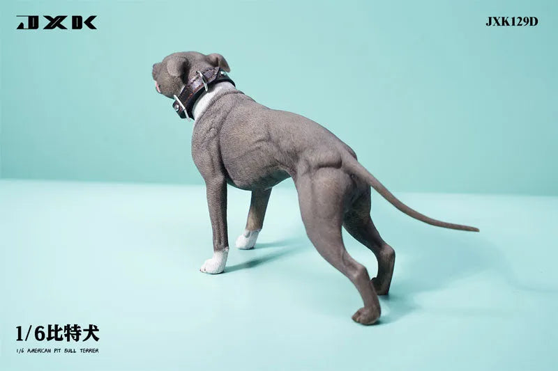 1/6 American Pit Bull Terrier Dㅤ – JXK Studio – ActionFigureBrasil