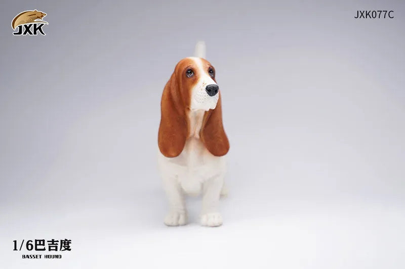 1/6 Basset Hound Cㅤ – JXK Studio – ActionFigureBrasil