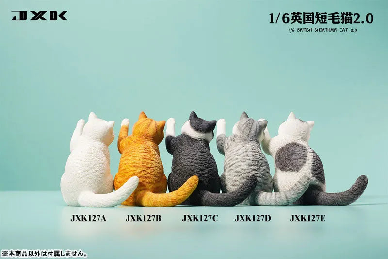 1/6 British Short Hair 2.0 Aㅤ – JXK Studio – ActionFigureBrasil