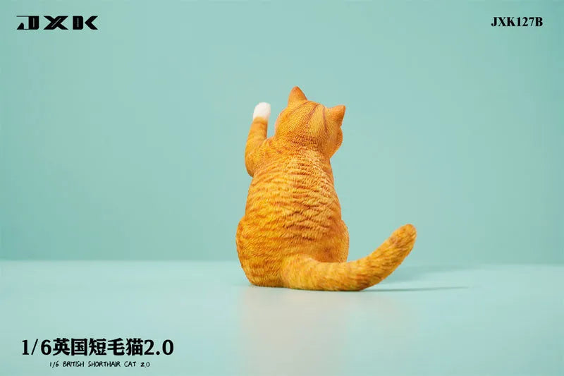 1/6 British Short Hair 2.0 Bㅤ – JXK Studio – ActionFigureBrasil