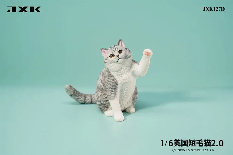 1/6 British Short Hair 2.0 Dㅤ – JXK Studio – ActionFigureBrasil