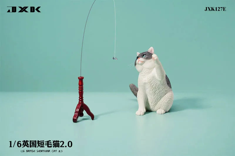 1/6 British Short Hair 2.0 Eㅤ – JXK Studio – ActionFigureBrasil