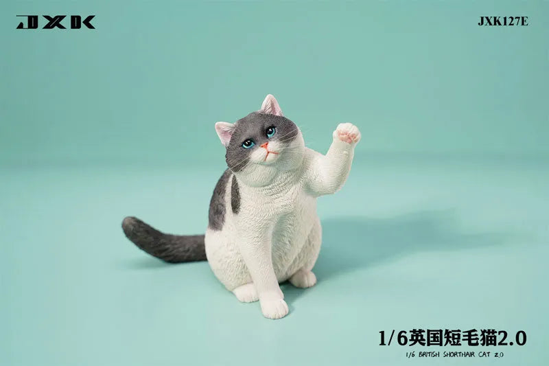 1/6 British Short Hair 2.0 Eㅤ – JXK Studio – ActionFigureBrasil