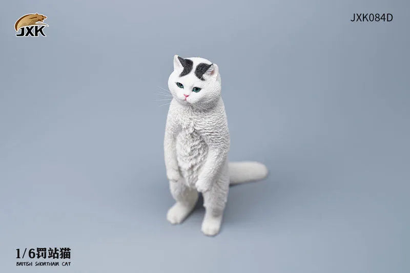 1/6 British Short Hair Dㅤ – JXK Studio – ActionFigureBrasil