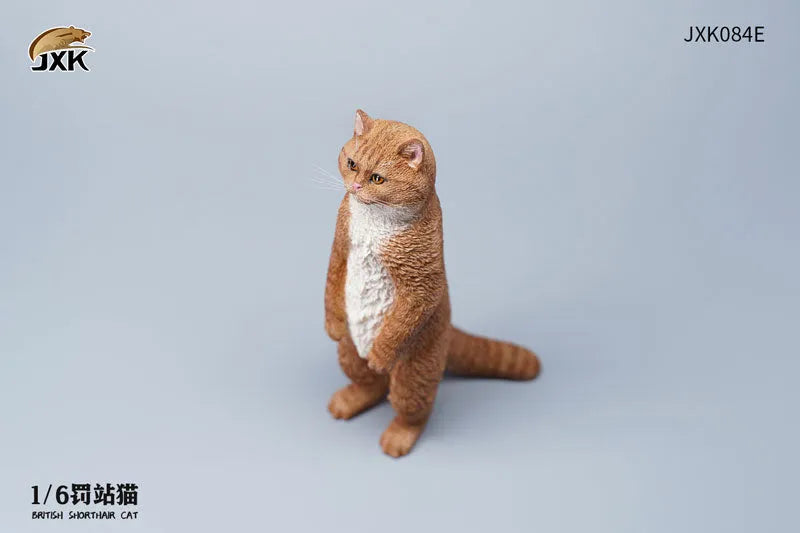 1/6 British Short Hair Eㅤ – JXK Studio – ActionFigureBrasil
