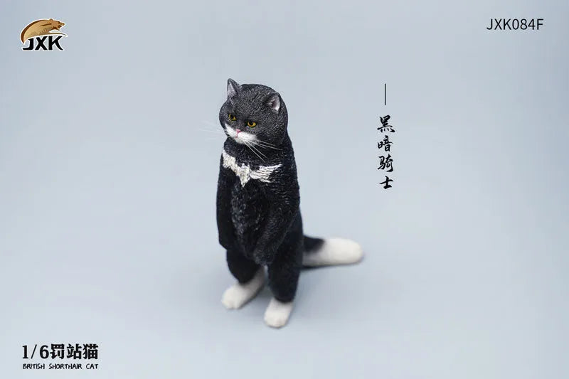 1/6 British Short Hair Fㅤ – JXK Studio – ActionFigureBrasil