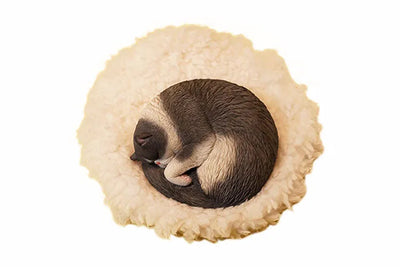 1/6 Cat Indulging in a Nap 3.0 Cㅤ – JXK Studio – ActionFigureBrasil
