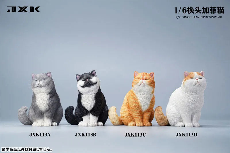 1/6 Change Head Exotic Short Hair Bㅤ – JXK Studio – ActionFigureBrasil