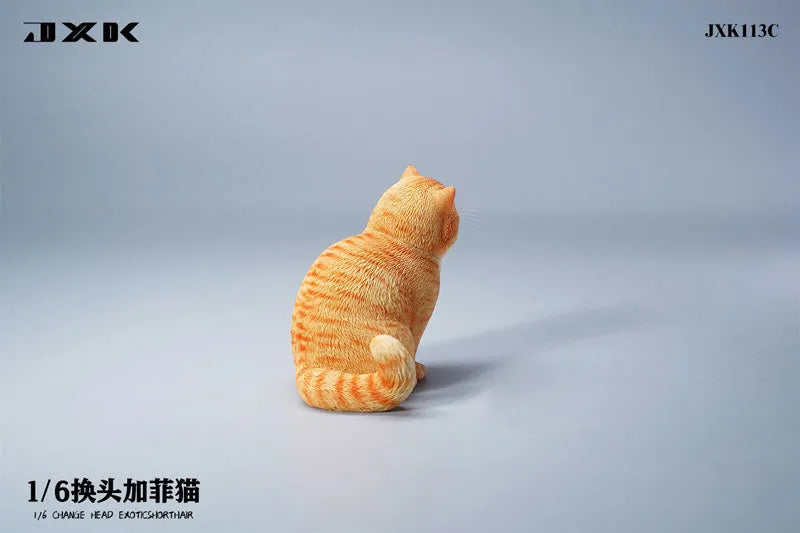 1/6 Change Head Exotic Short Hair Cㅤ – JXK Studio – ActionFigureBrasil