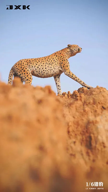 1/6 Cheetahㅤ – JXK Studio – ActionFigureBrasil