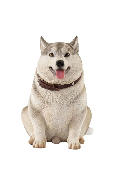 1/6 Chubby Husky Aㅤ – JXK Studio – ActionFigureBrasil