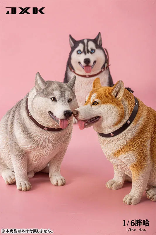 1/6 Chubby Husky Aㅤ – JXK Studio – ActionFigureBrasil