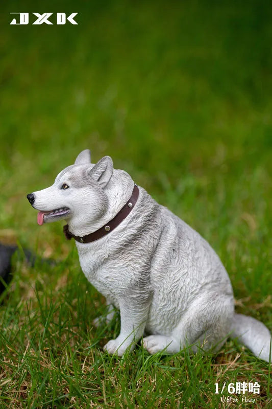 1/6 Chubby Husky Aㅤ – JXK Studio – ActionFigureBrasil