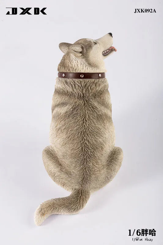 1/6 Chubby Husky Aㅤ – JXK Studio – ActionFigureBrasil