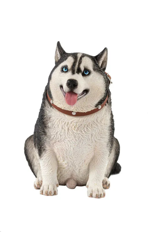 1/6 Chubby Husky Bㅤ – JXK Studio – ActionFigureBrasil