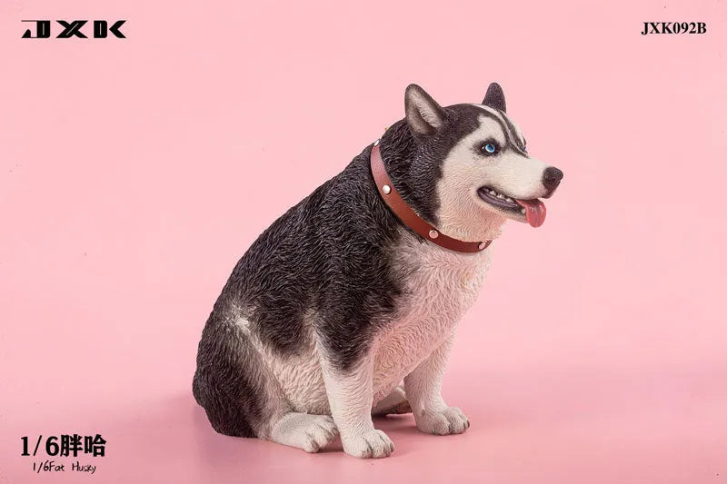 1/6 Chubby Husky Bㅤ – JXK Studio – ActionFigureBrasil