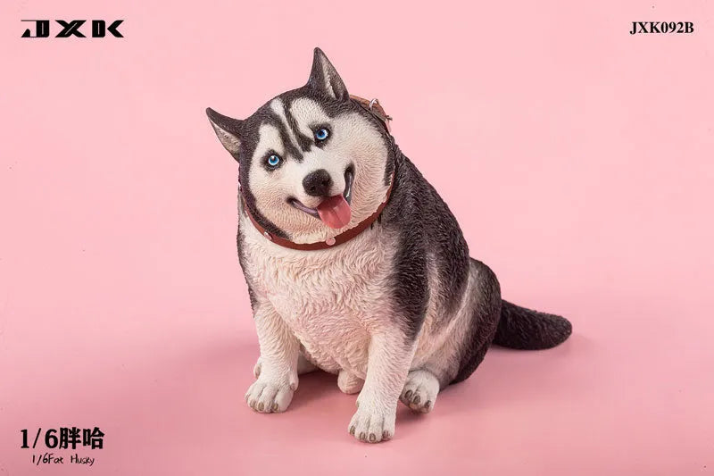 1/6 Chubby Husky Bㅤ – JXK Studio – ActionFigureBrasil