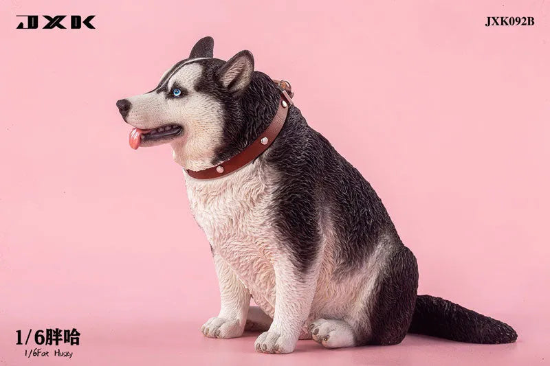 1/6 Chubby Husky Bㅤ – JXK Studio – ActionFigureBrasil