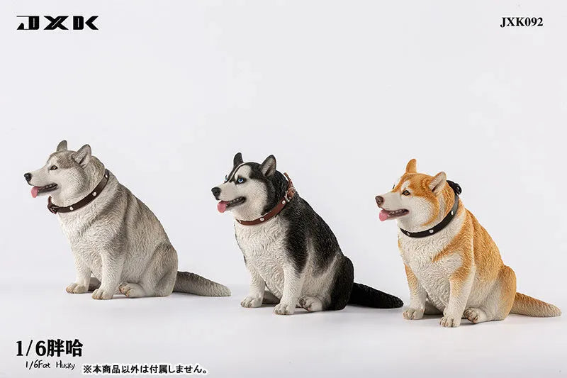 1/6 Chubby Husky Cㅤ – JXK Studio – ActionFigureBrasil