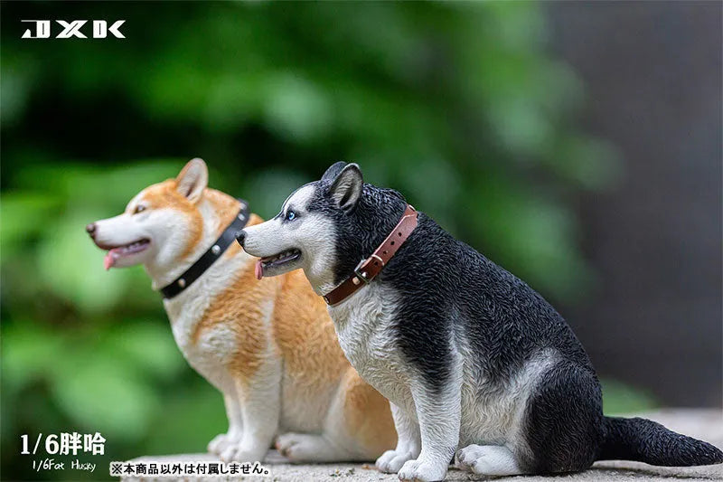 1/6 Chubby Husky Cㅤ – JXK Studio – ActionFigureBrasil