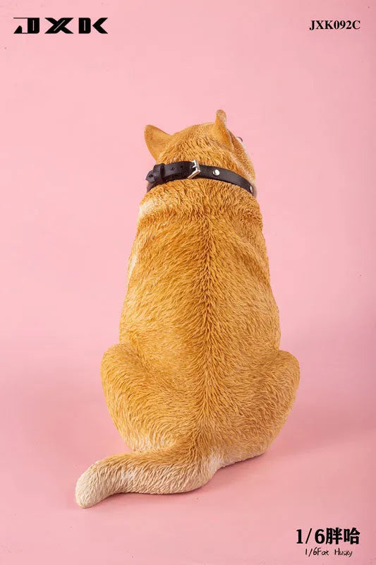 1/6 Chubby Husky Cㅤ – JXK Studio – ActionFigureBrasil