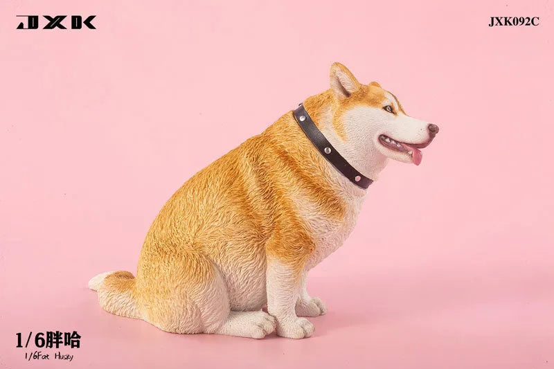 1/6 Chubby Husky Cㅤ – JXK Studio – ActionFigureBrasil