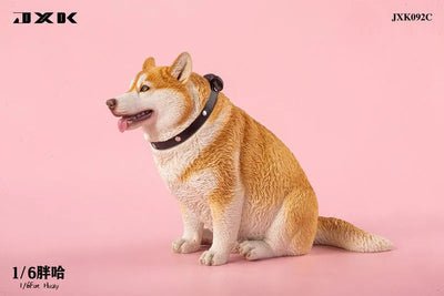 1/6 Chubby Husky Cㅤ – JXK Studio – ActionFigureBrasil — com base expositora