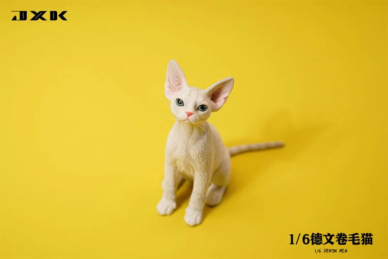 1/6 Devon Rex A1ㅤ – JXK Studio – ActionFigureBrasil