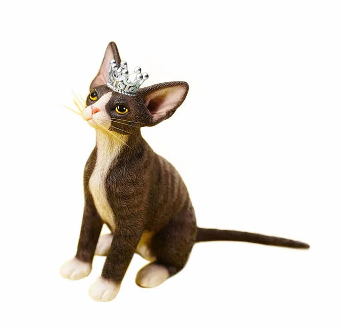 1/6 Devon Rex A2ㅤ – JXK Studio – ActionFigureBrasil