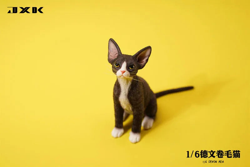 1/6 Devon Rex A2ㅤ – JXK Studio – ActionFigureBrasil