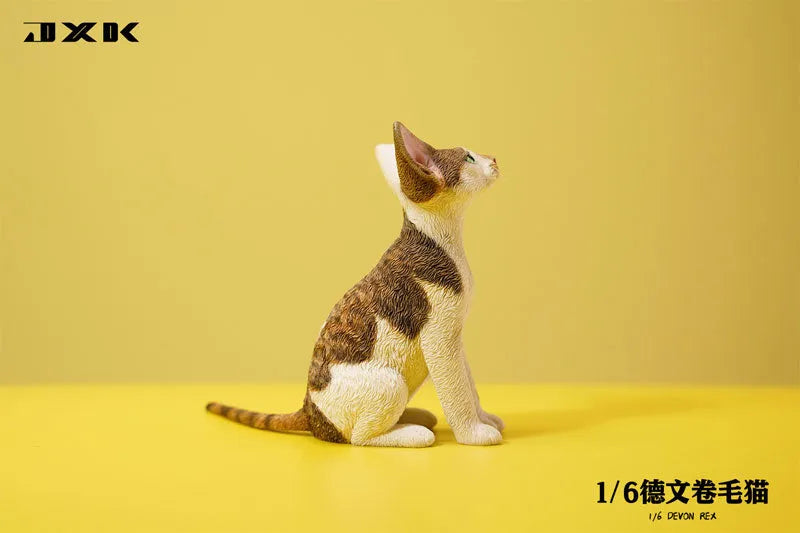 1/6 Devon Rex A3ㅤ – JXK Studio – ActionFigureBrasil