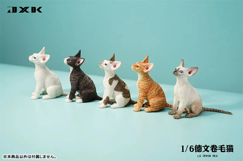 1/6 Devon Rex A4ㅤ – JXK Studio – ActionFigureBrasil
