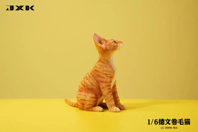 1/6 Devon Rex A4ㅤ – JXK Studio – ActionFigureBrasil — close