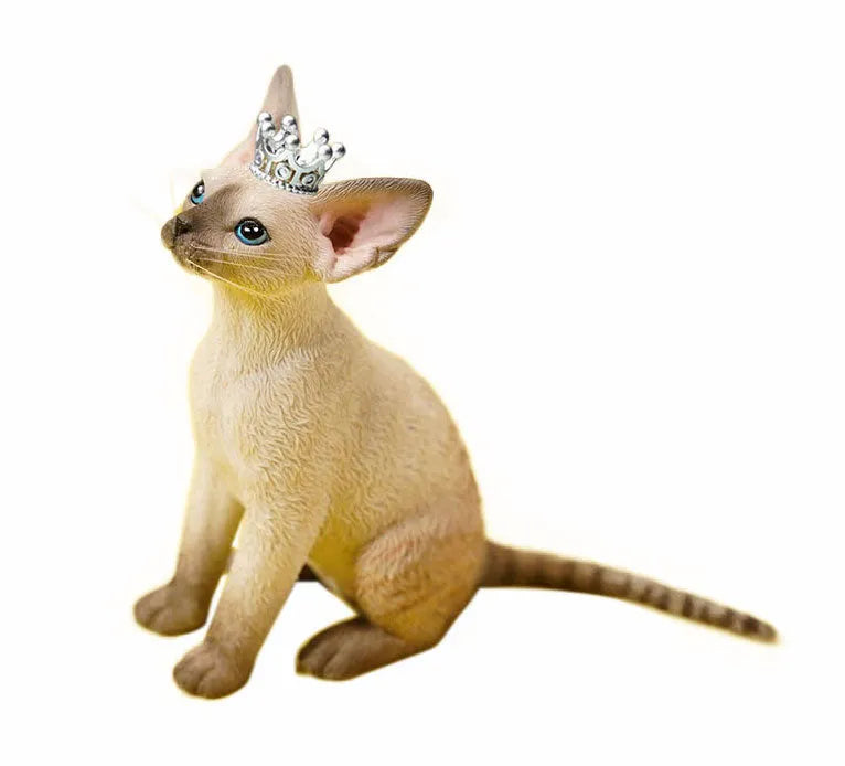 1/6 Devon Rex A5ㅤ – JXK Studio – ActionFigureBrasil