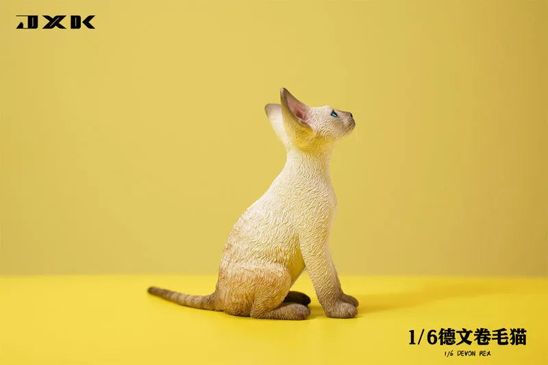 1/6 Devon Rex A5ㅤ – JXK Studio – ActionFigureBrasil