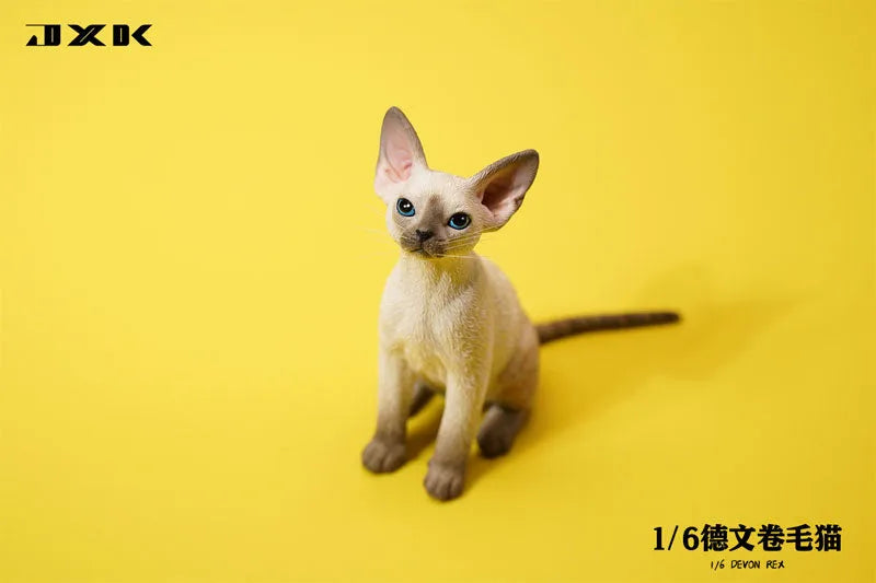 1/6 Devon Rex A5ㅤ – JXK Studio – ActionFigureBrasil