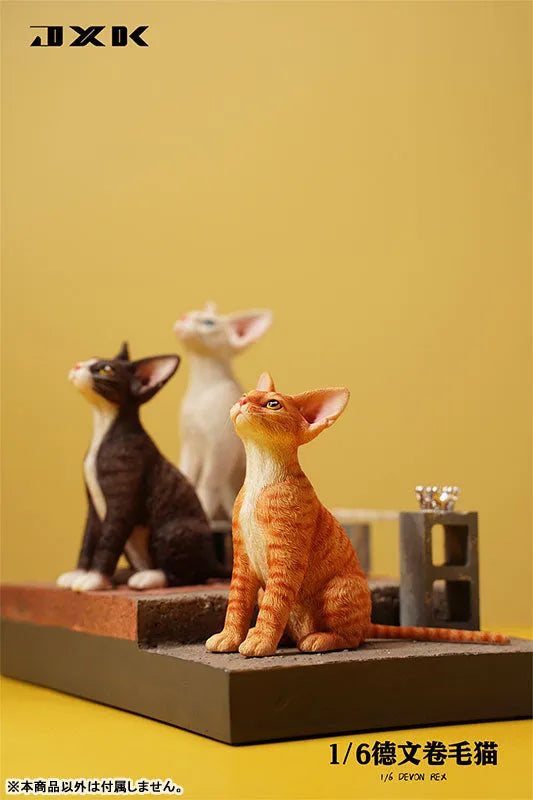 1/6 Devon Rex B1ㅤ – JXK Studio – ActionFigureBrasil