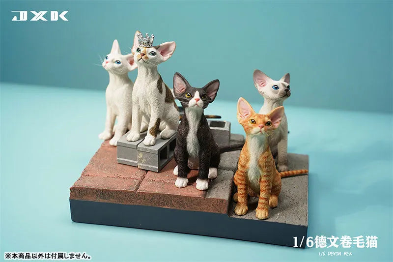 1/6 Devon Rex B5ㅤ – JXK Studio – ActionFigureBrasil
