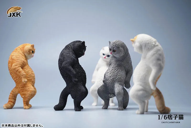 1/6 Exotic Shorthair Cat Aㅤ – JXK Studio – ActionFigureBrasil