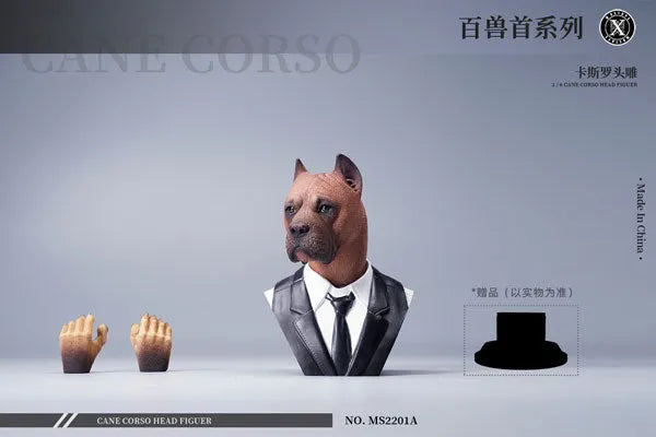 1/6 Head Cane Corso Aㅤ – Mos Toys – ActionFigureBrasil
