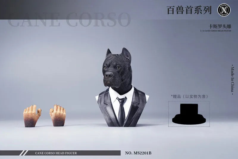 1/6 Head Cane Corso Bㅤ – Mos Toys – ActionFigureBrasil