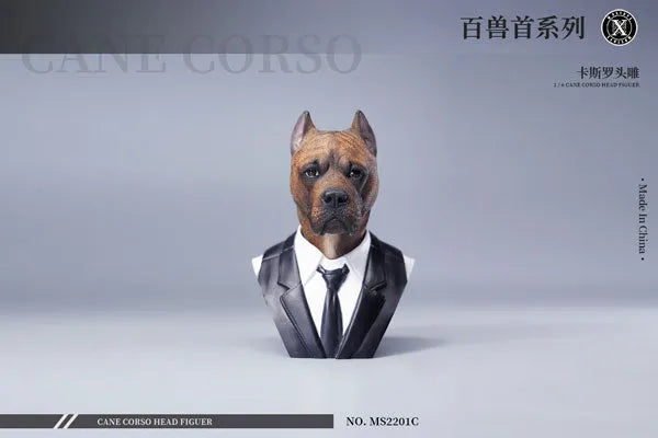 1/6 Head Cane Corso Cㅤ – Mos Toys – ActionFigureBrasil