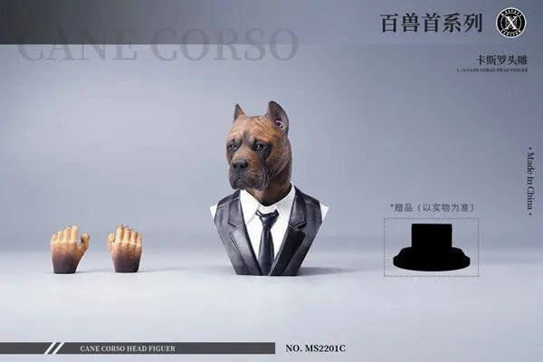 1/6 Head Cane Corso Cㅤ – Mos Toys – ActionFigureBrasil