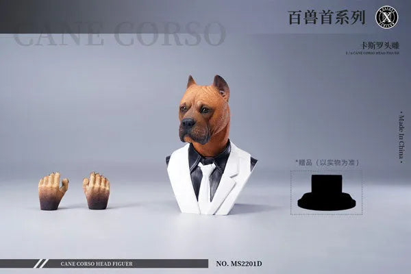 1/6 Head Cane Corso Dㅤ – Mos Toys – ActionFigureBrasil