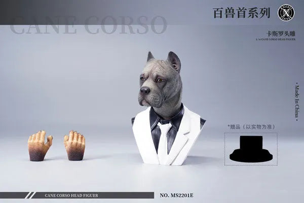 1/6 Head Cane Corso Eㅤ – Mos Toys – ActionFigureBrasil