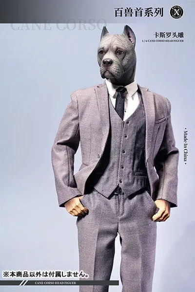 1/6 Head Cane Corso Eㅤ – Mos Toys – ActionFigureBrasil