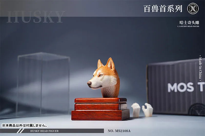1/6 Head Husky Aㅤ – Mos Toys – ActionFigureBrasil